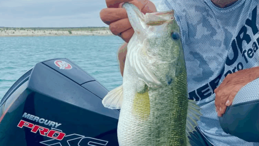 Denny Brauer: Professional Bass Fisherman